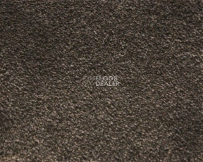 Ковролин Radici Lord Bisonte 328C фото 1 | FLOORDEALER